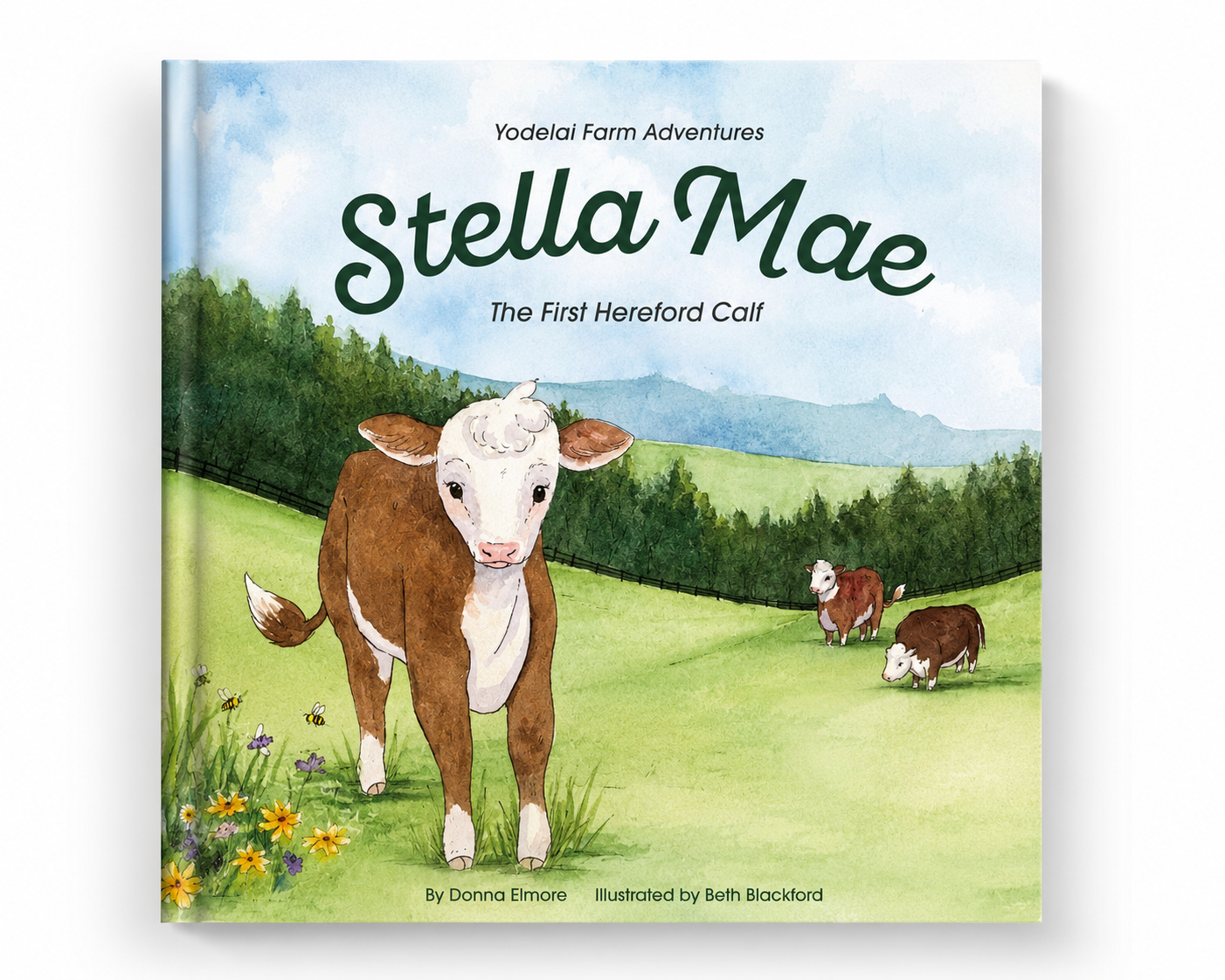 Stella Mae - The First Hereford Calf